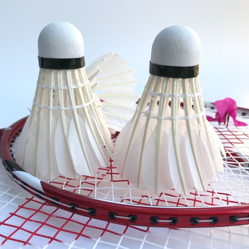 3/6/12Pcs New White Badminton  - Badminton House recension och pris