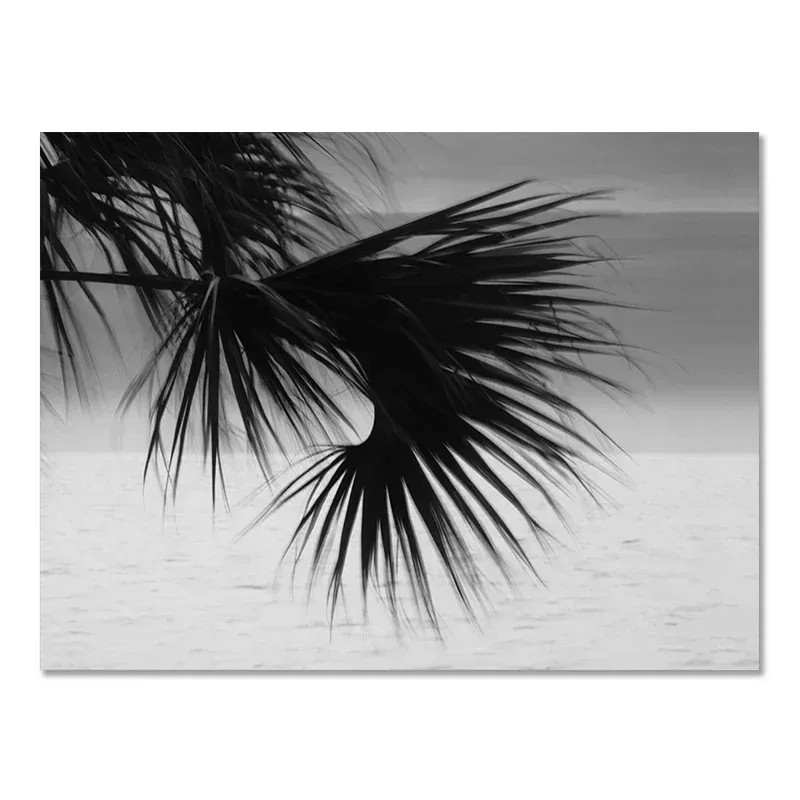 (1pc frameless)Beach Camper Va - Badminton Poster recension och pris